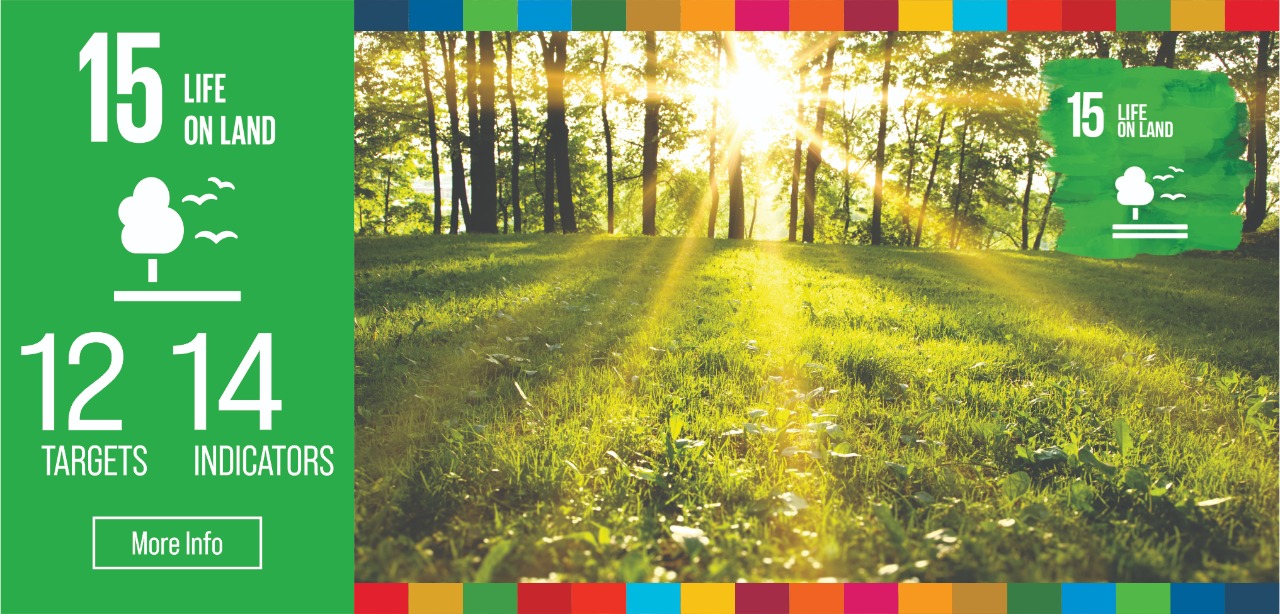 Life on Land | Sustainable Development Goals